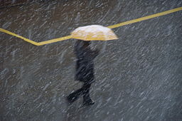 Person walking with an umbrella in a heavy rain